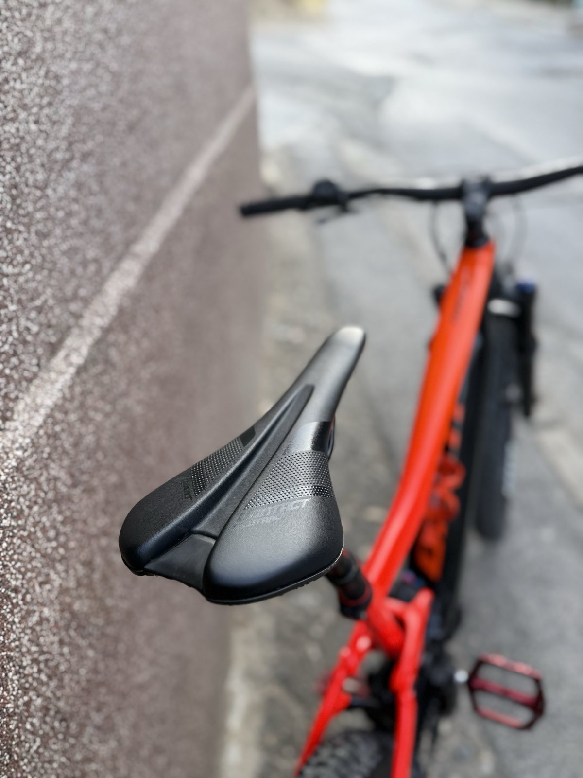 Bike view 10