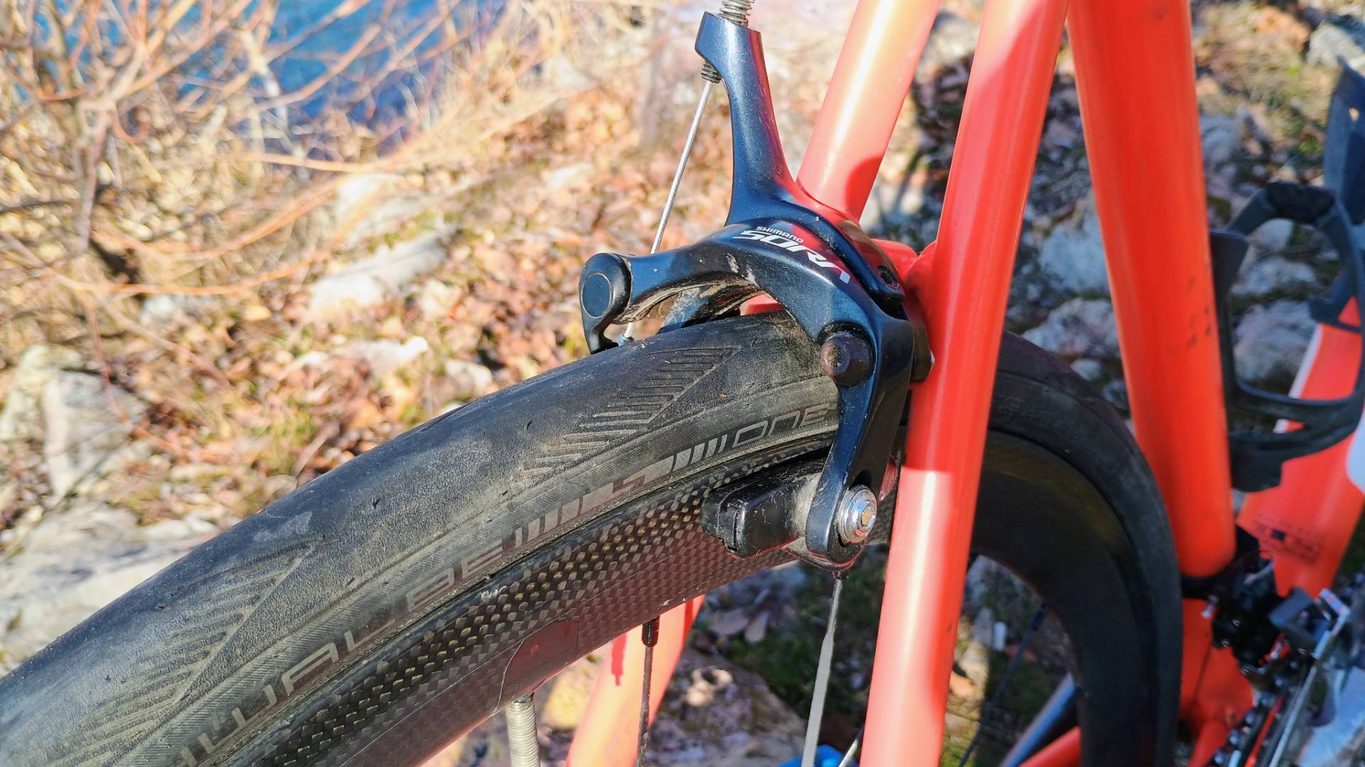 Bike view 5