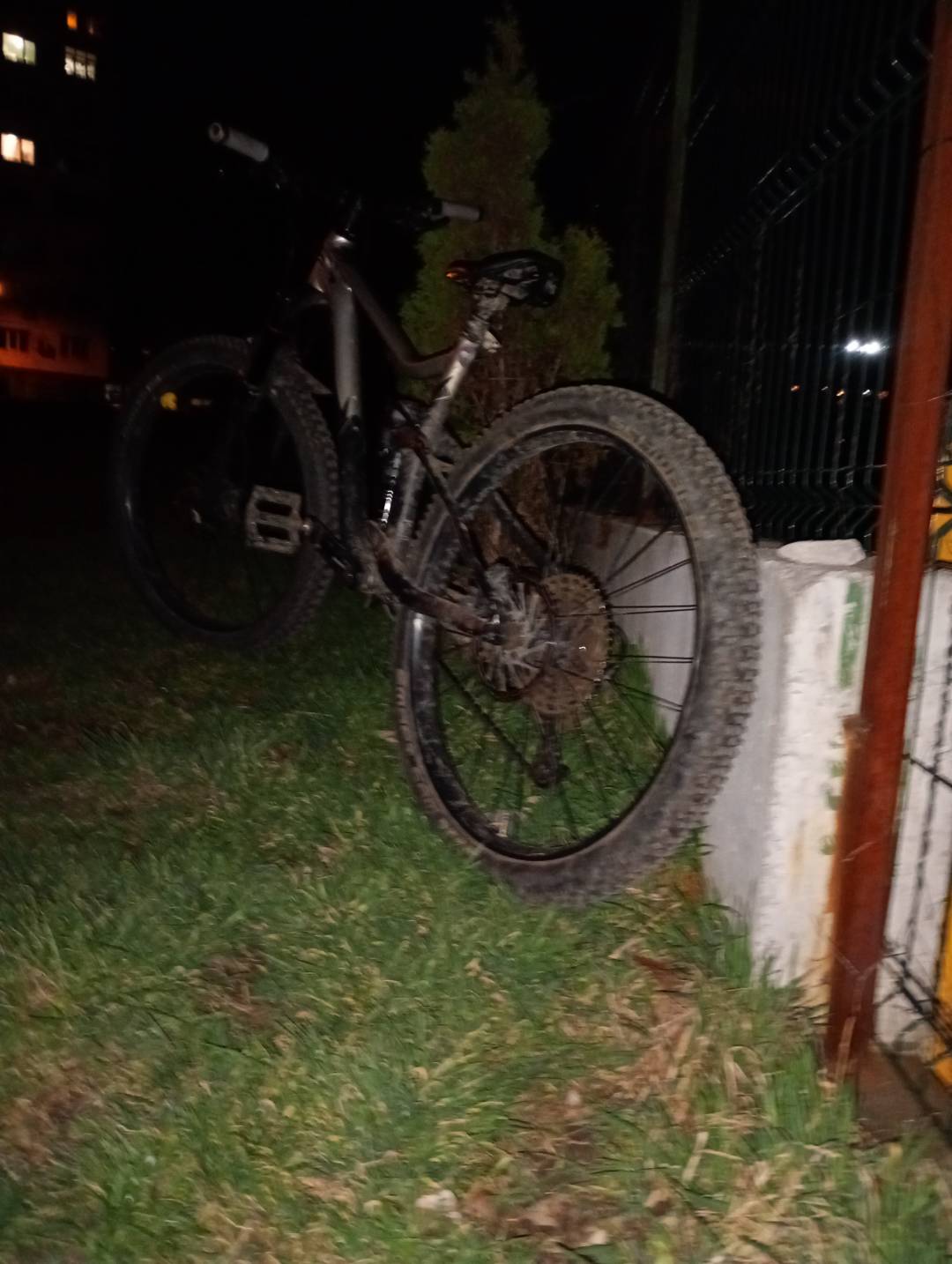 Bike view 5