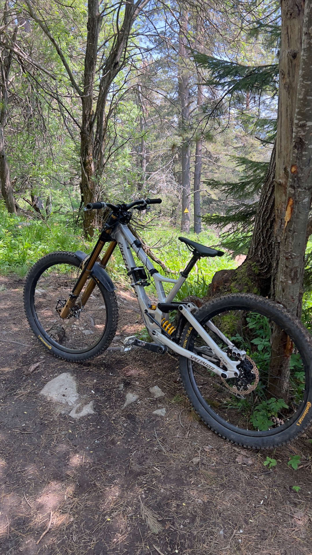 Bike view 5