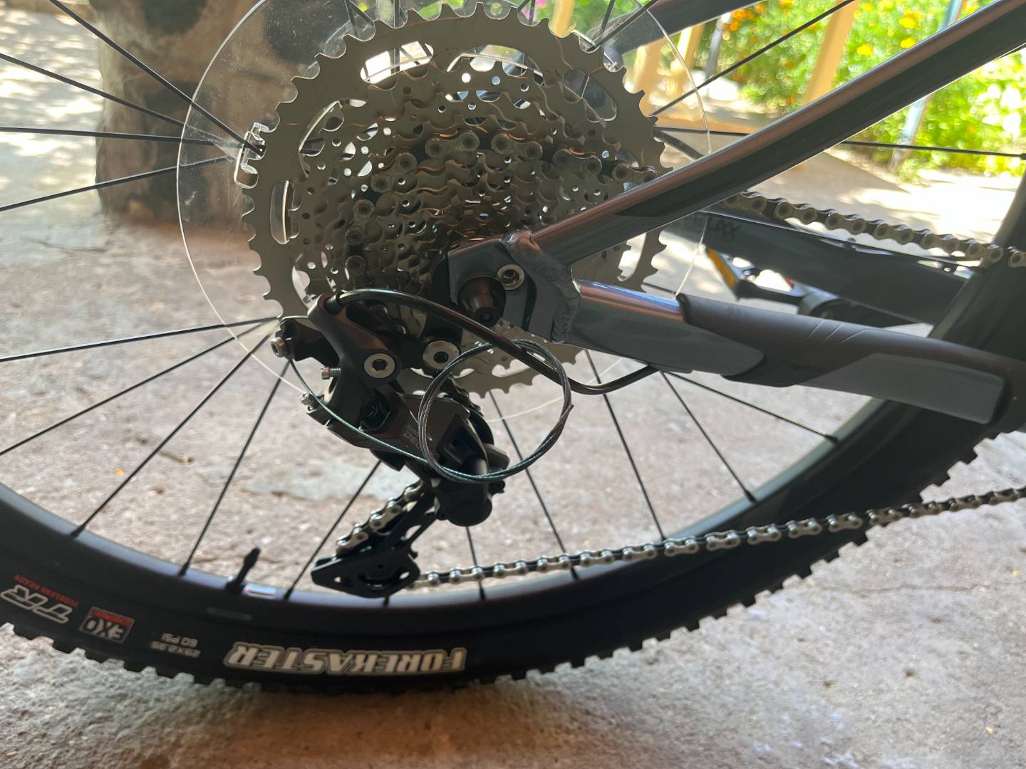 Bike view 6