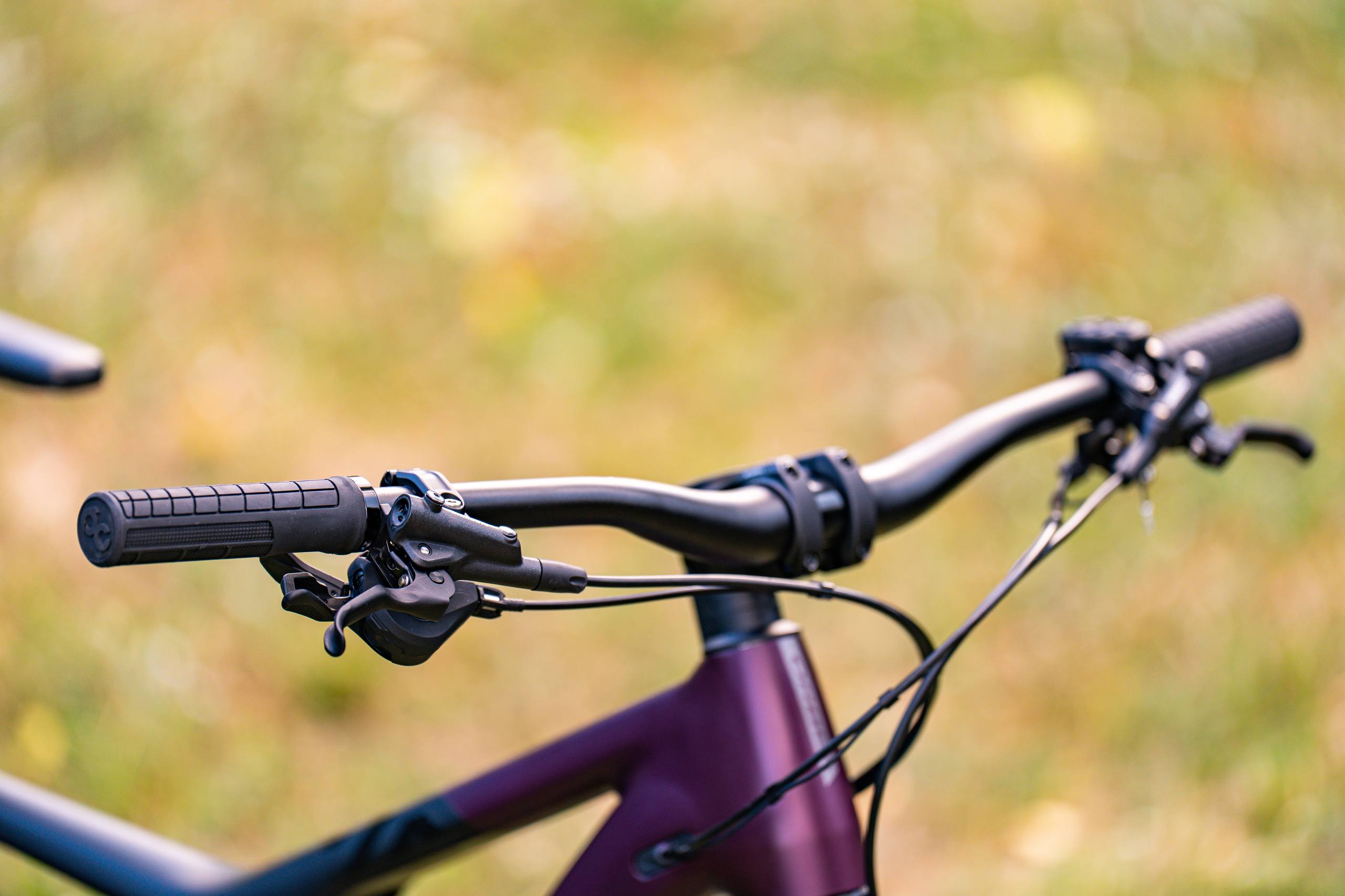 Bike view 12
