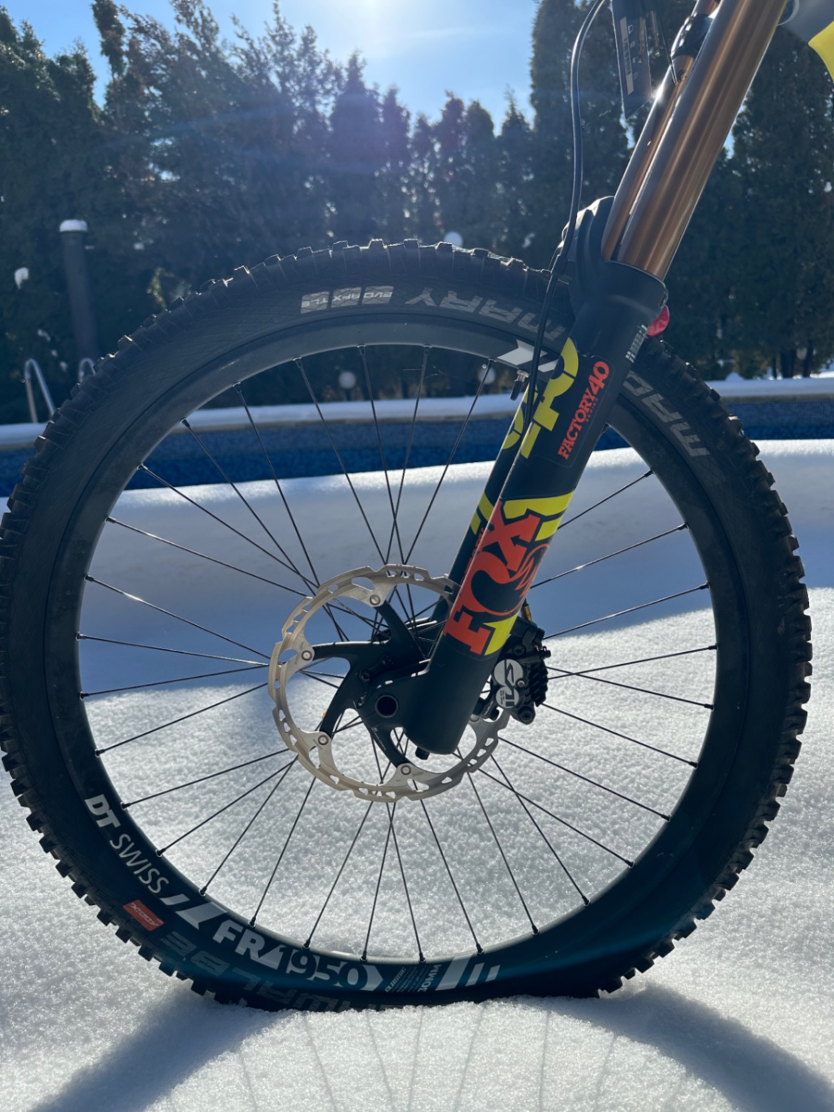 Bike view 8