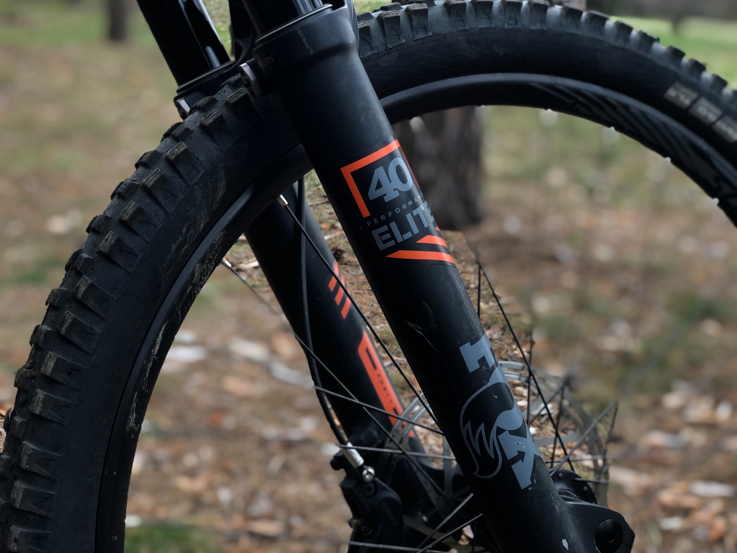 Bike view 8