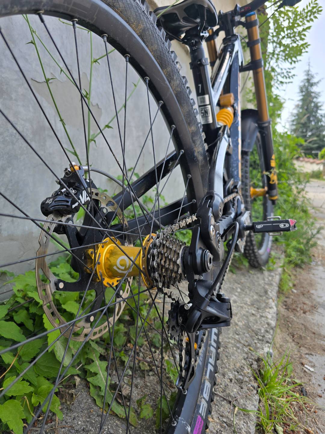 Bike view 9