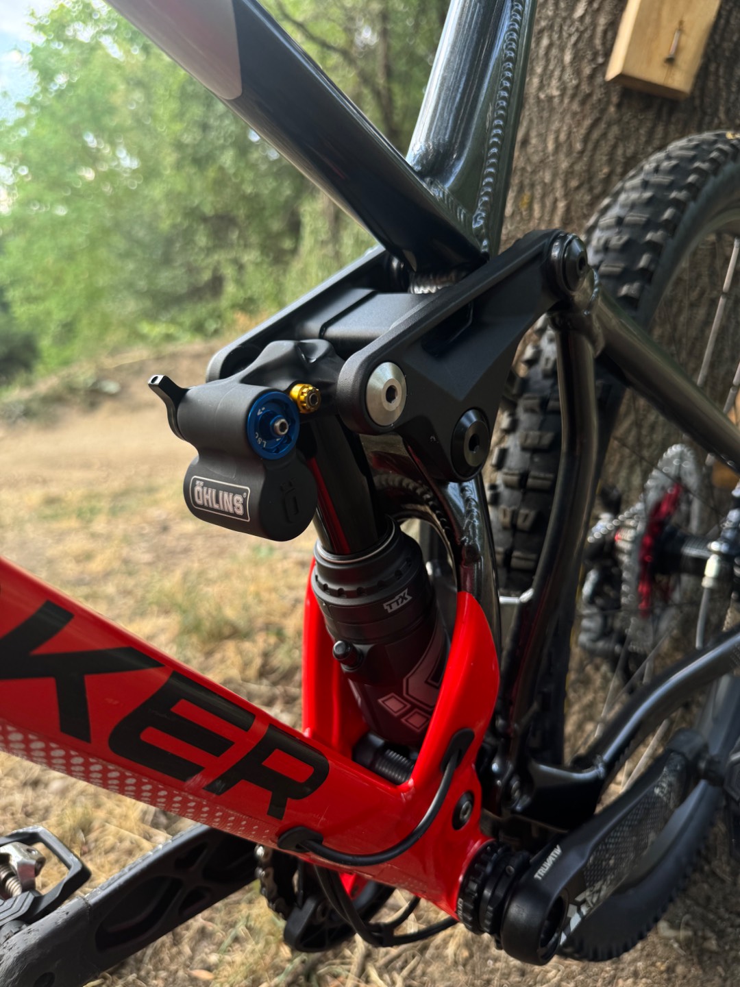 Bike view 6