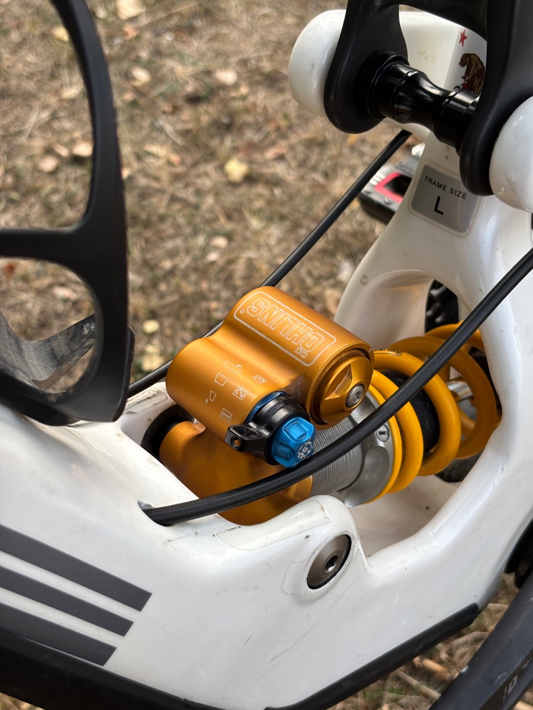 Bike view 10