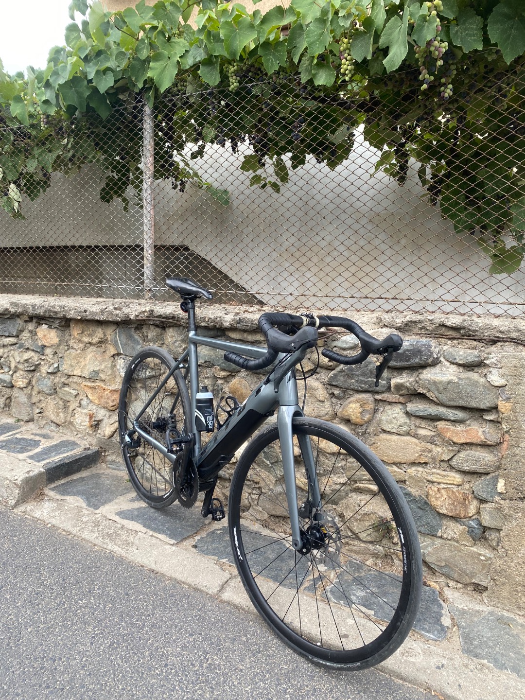 Bike view 6