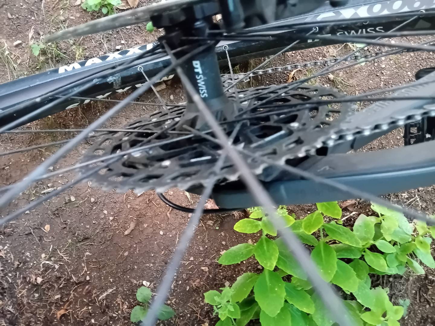 Bike view 7