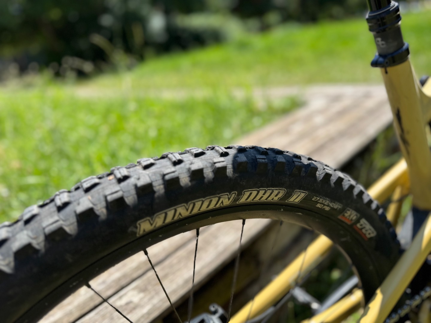 Bike view 8