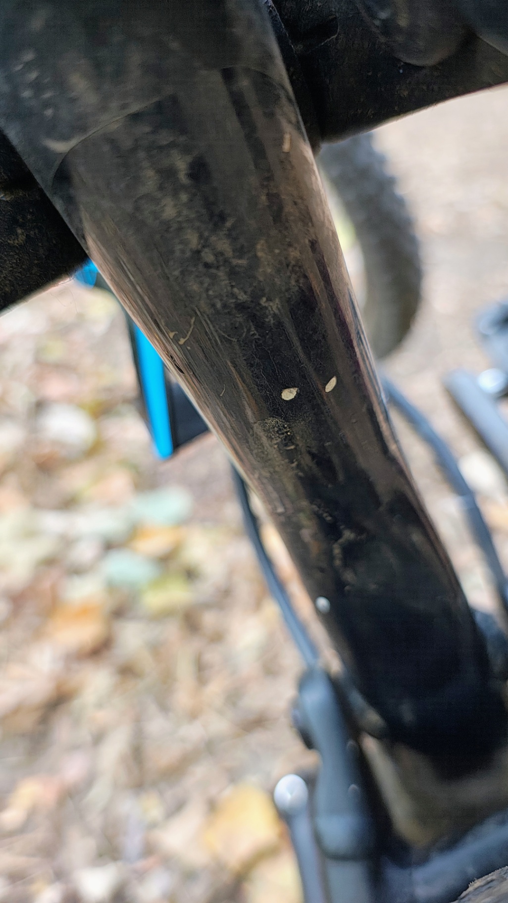 Bike view 4