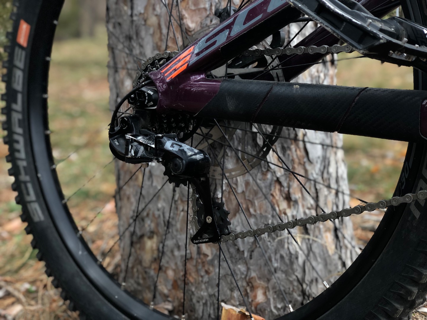 Bike view 5