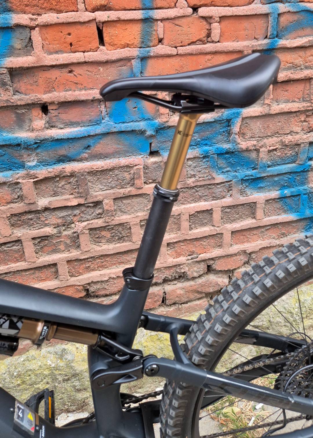 Bike view 11