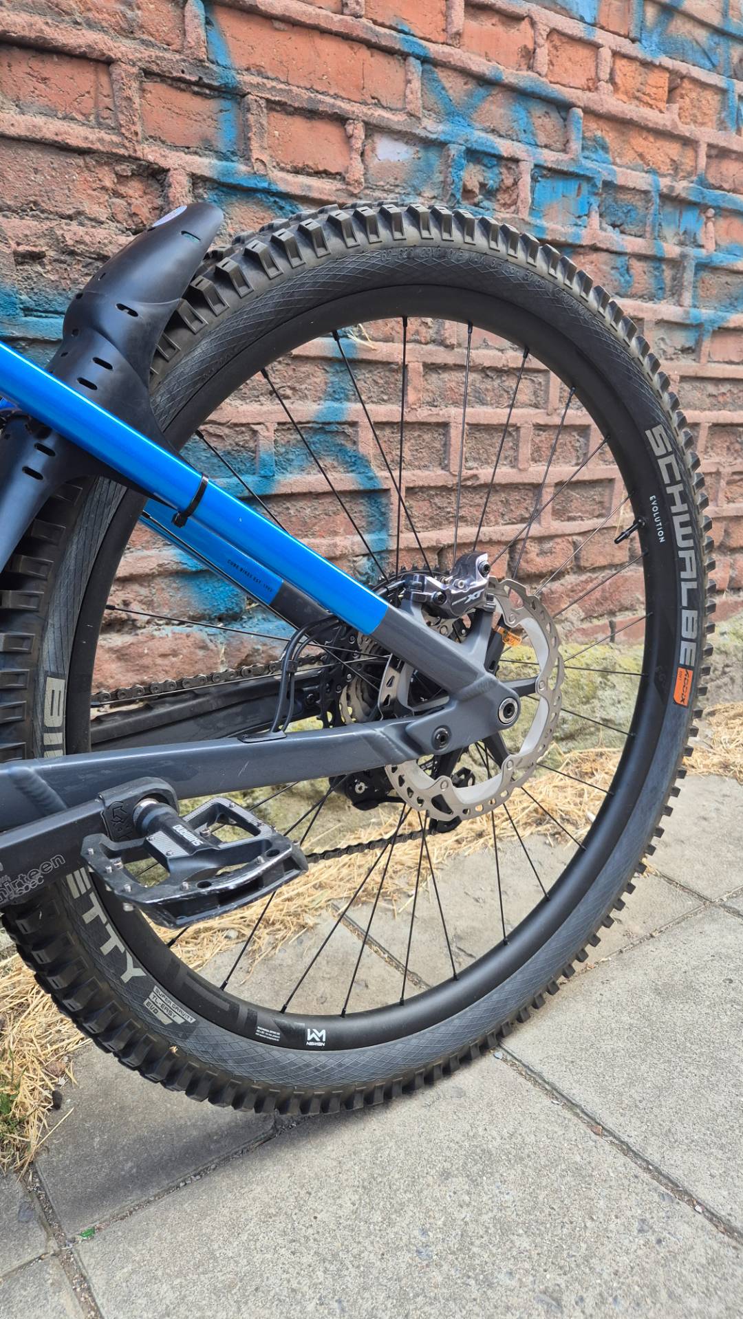 Bike view 8