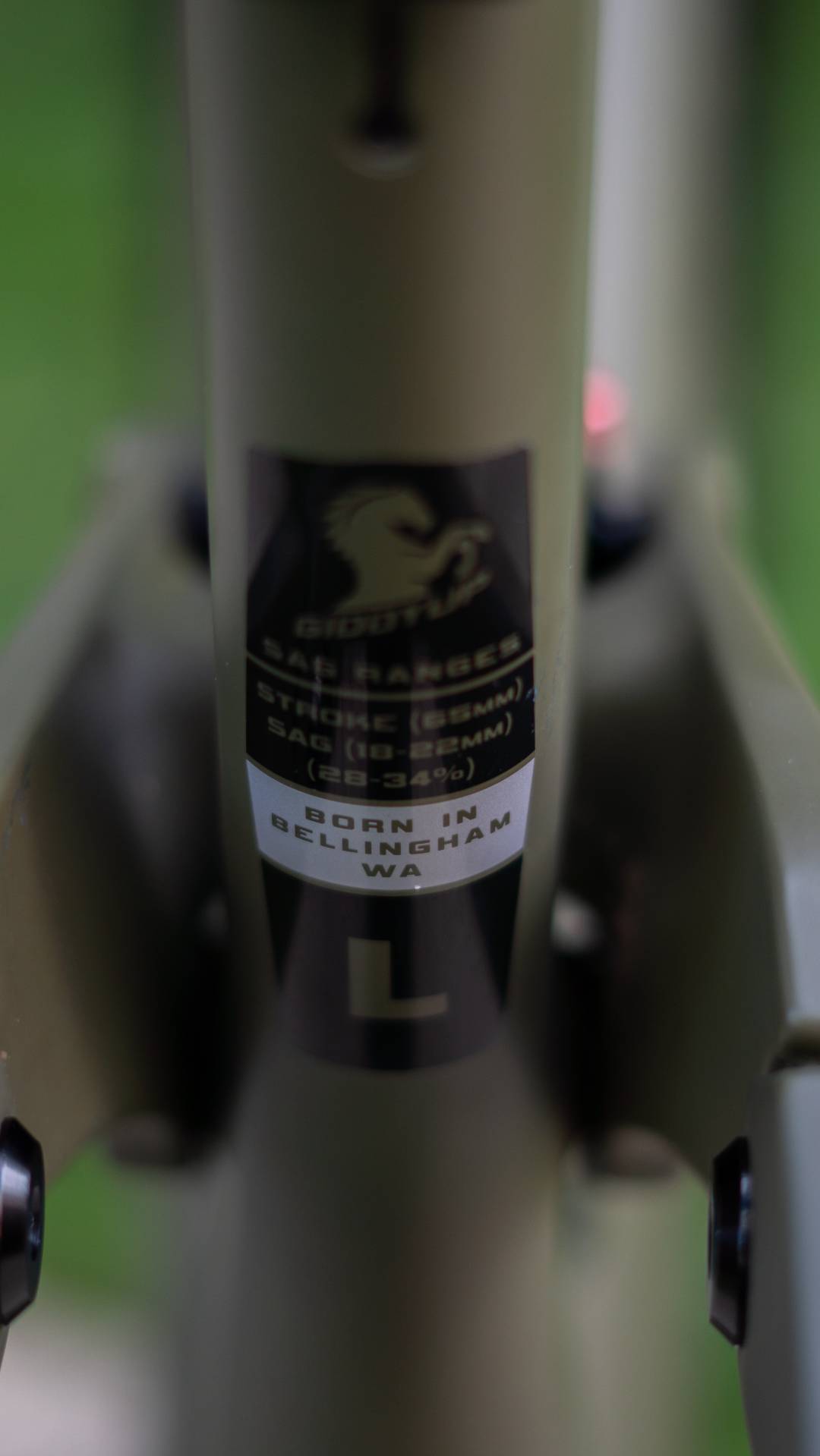 Bike view 9