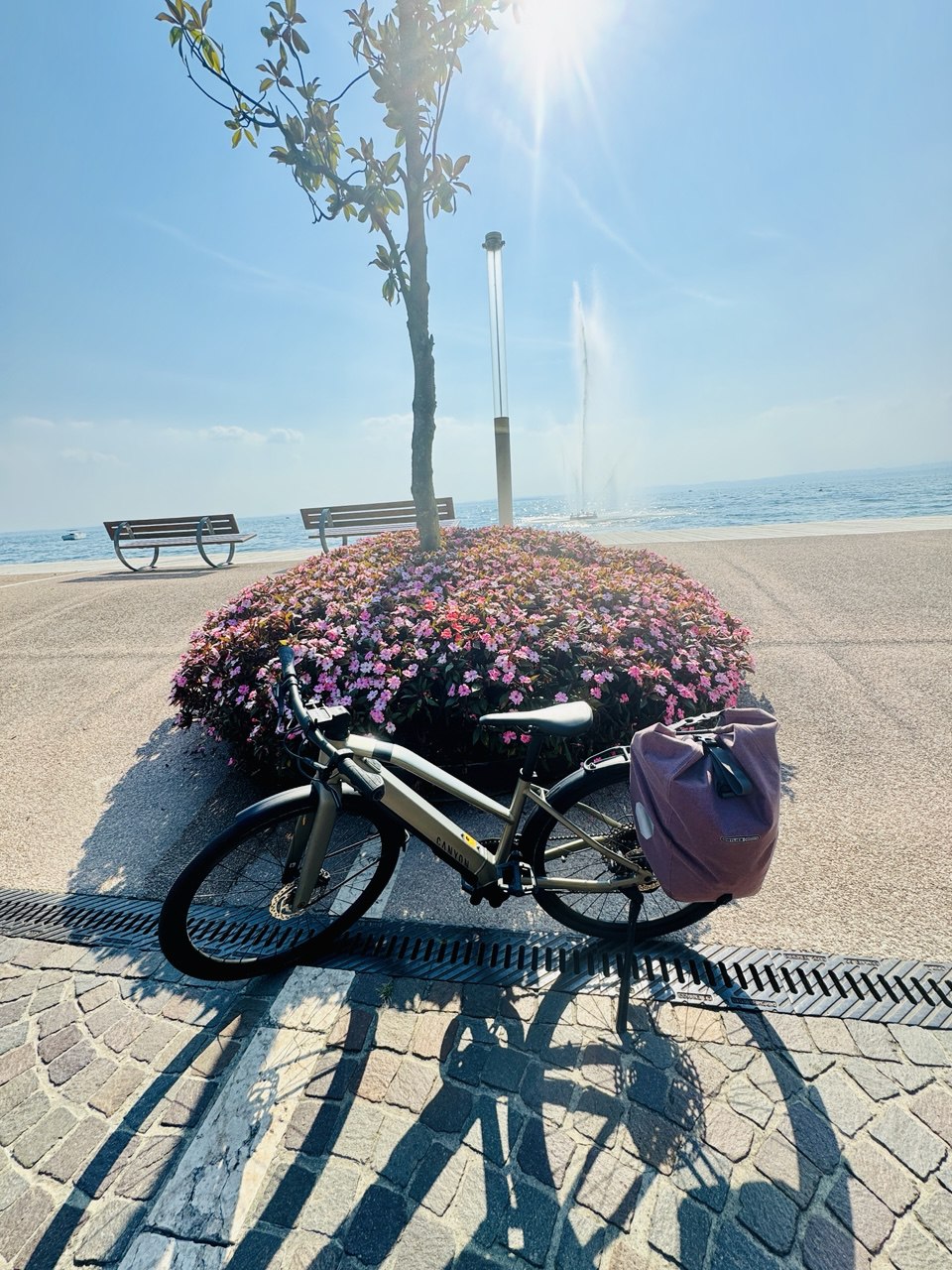 Bike view 3