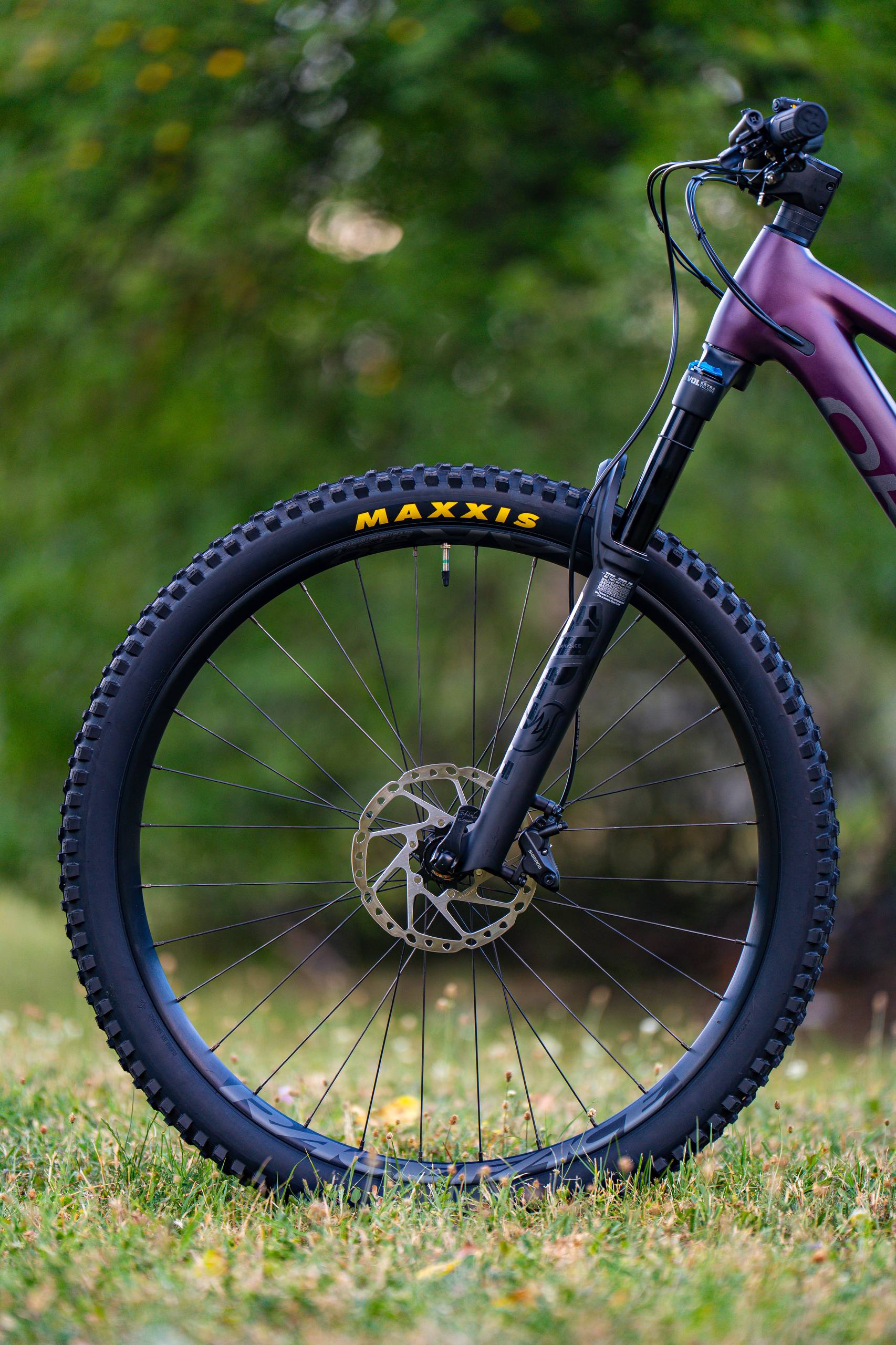 Bike view 7