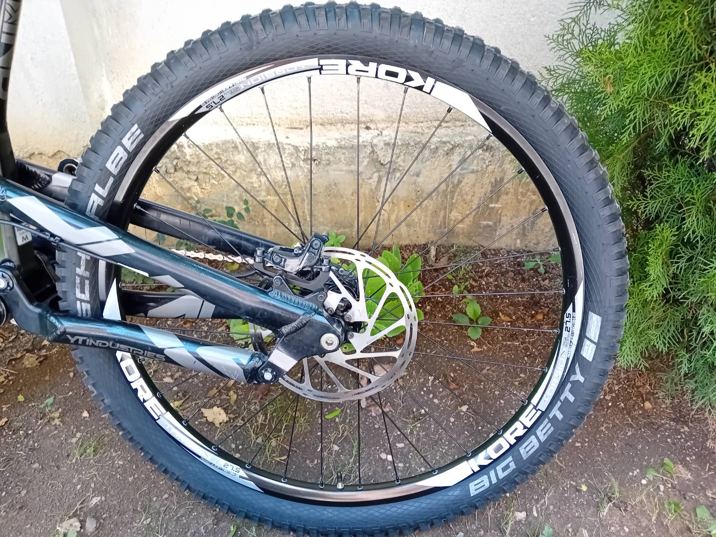 Bike view 7