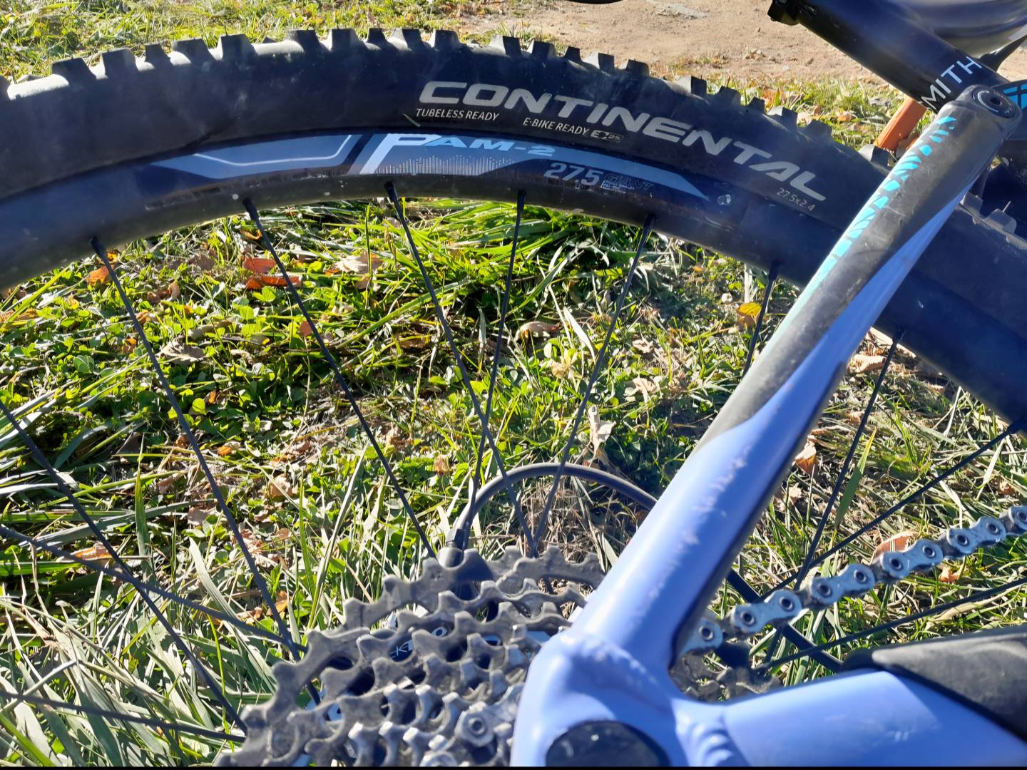 Bike view 5