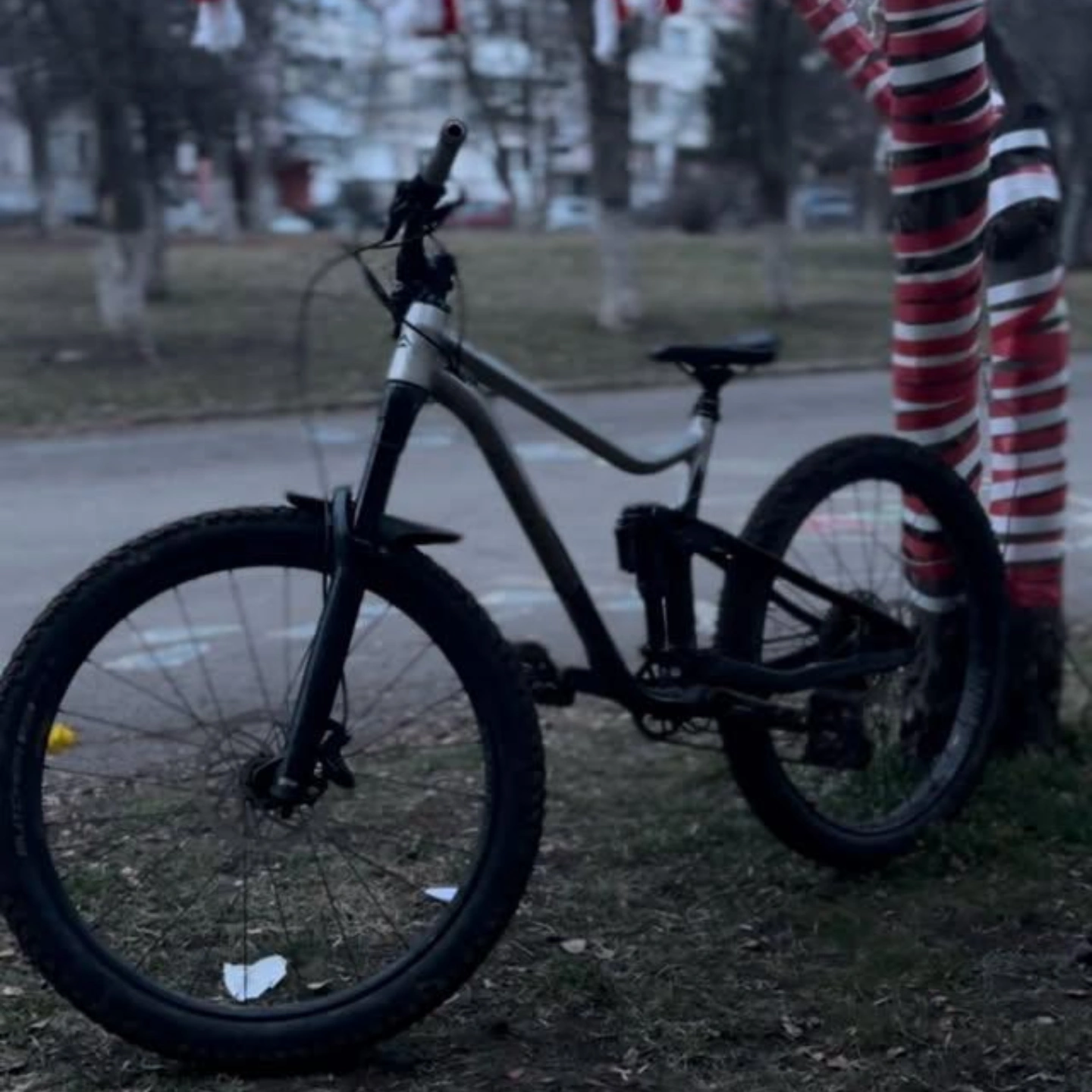 Bike view 6
