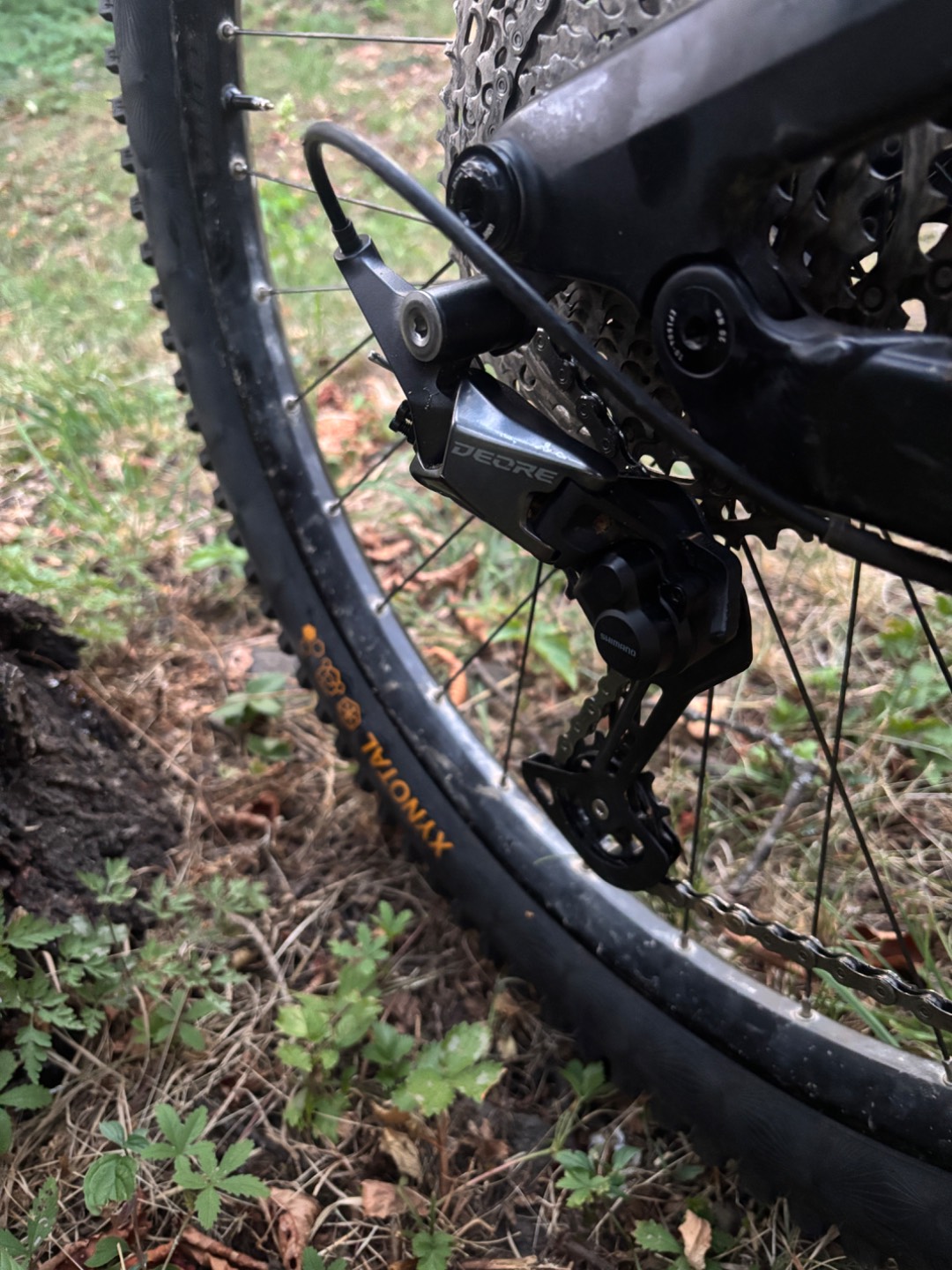 Bike view 9