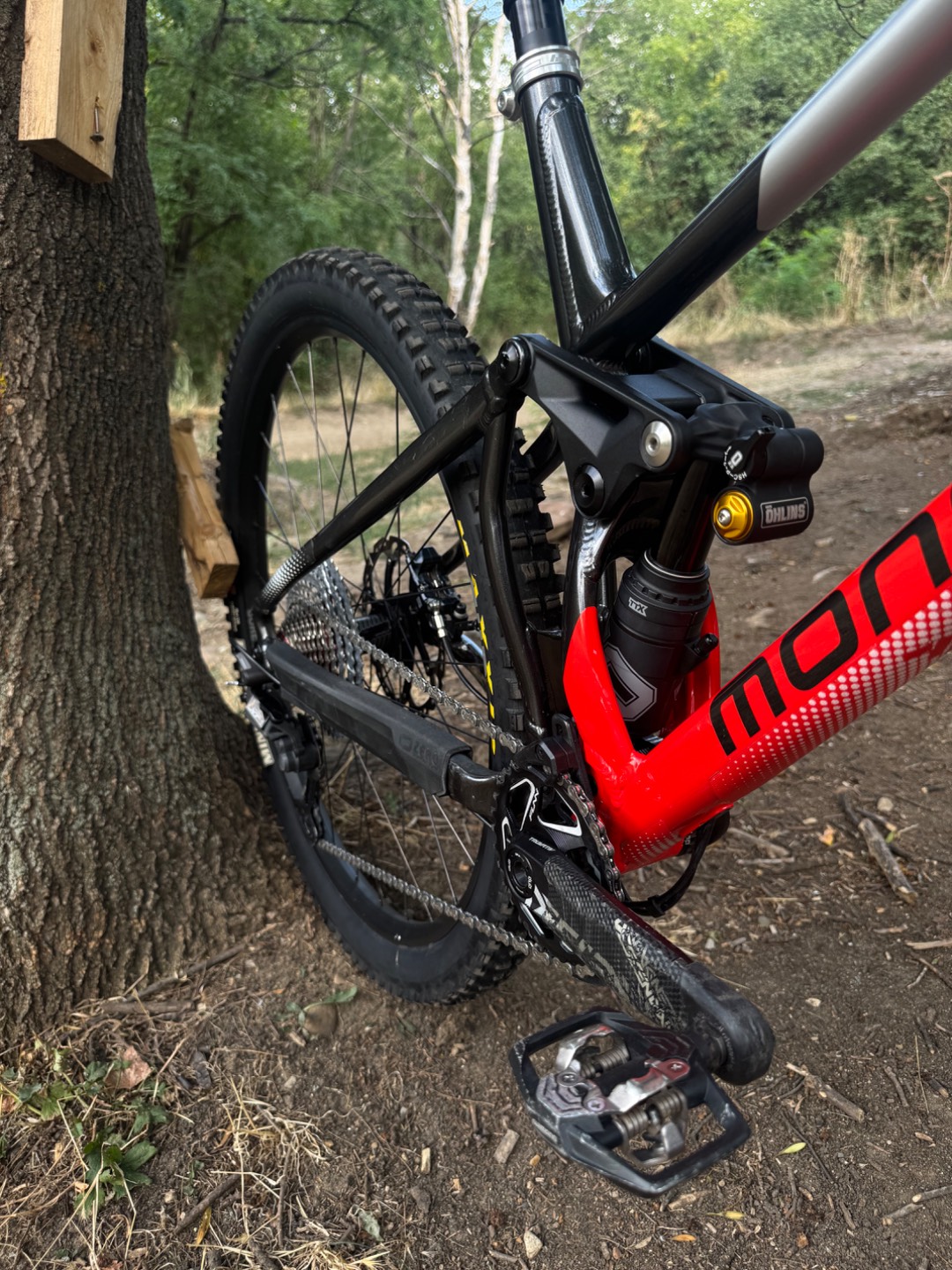 Bike view 7
