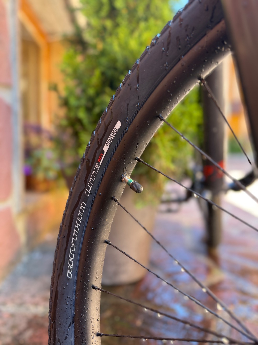 Bike view 6