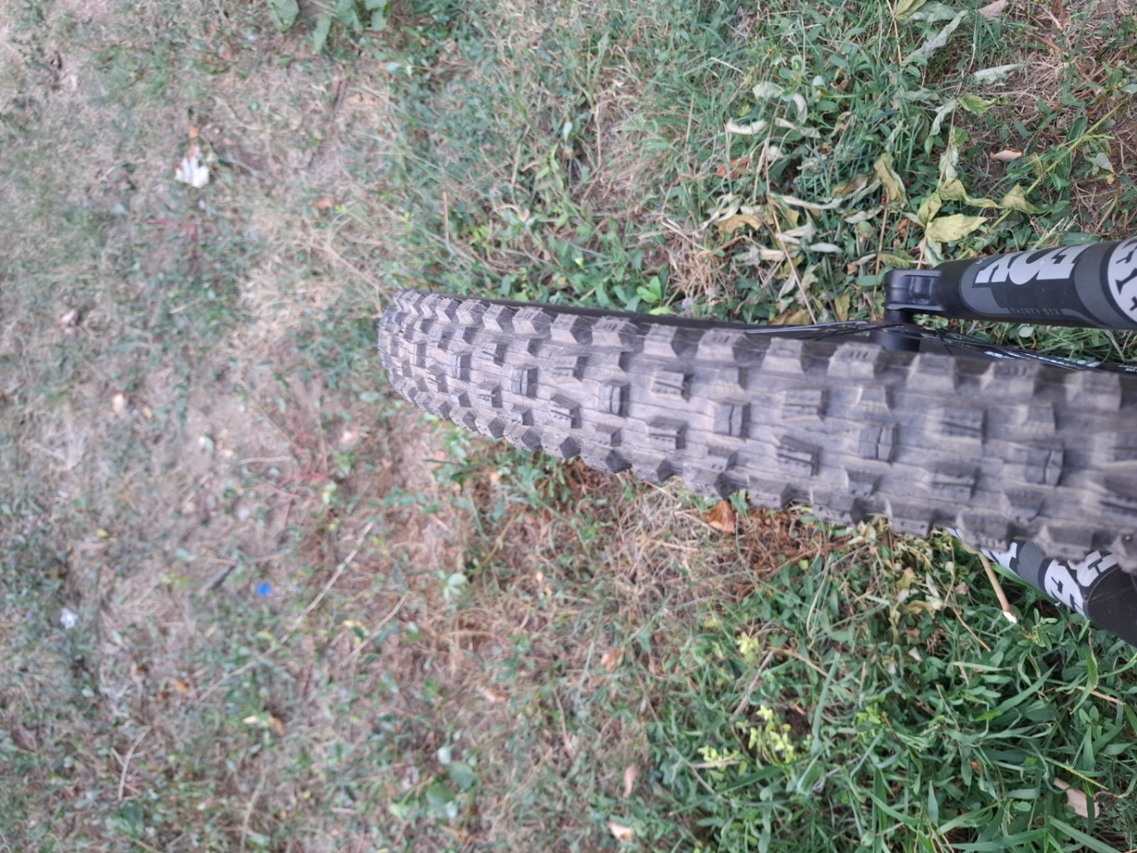 Bike view 11