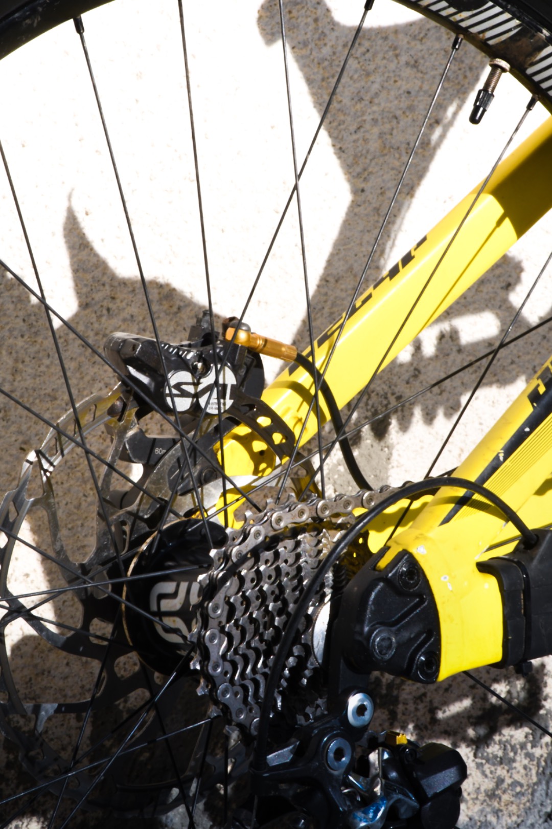 Bike view 5