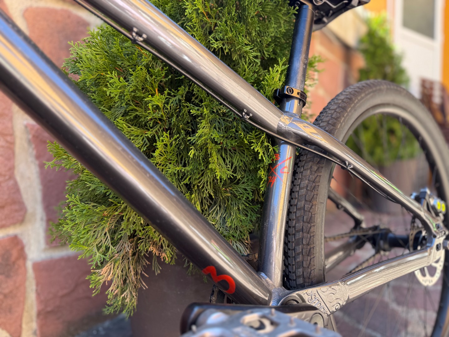 Bike view 5