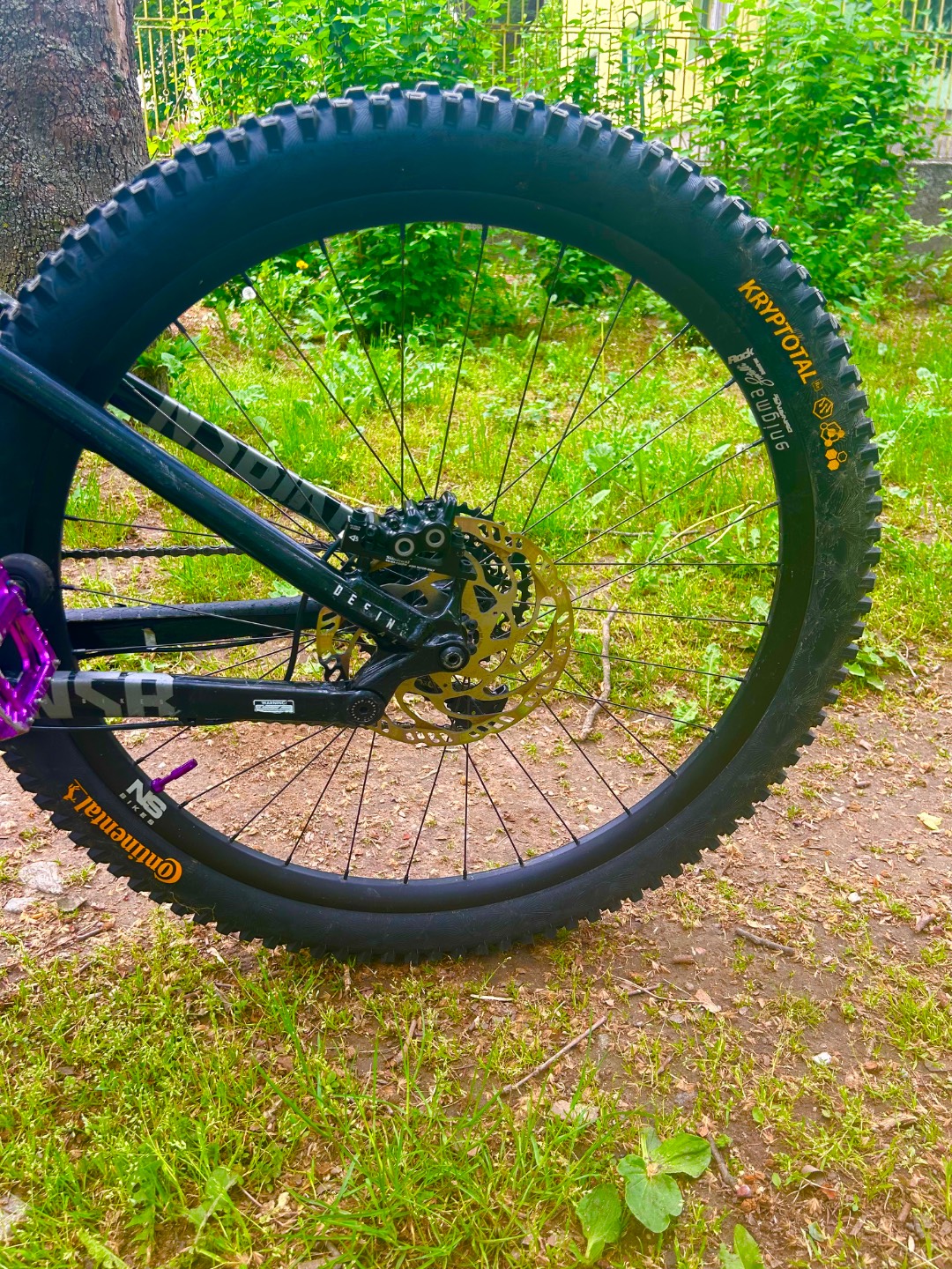 Bike view 4