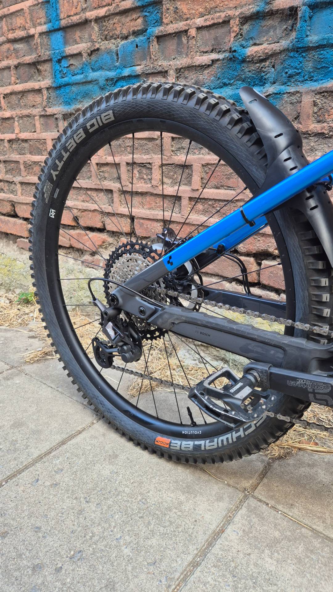 Bike view 7