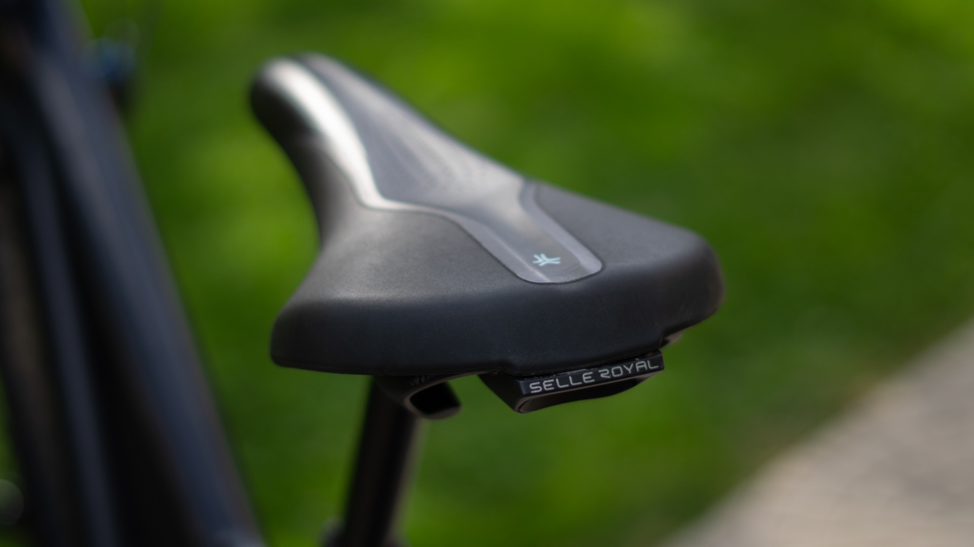Bike view 7