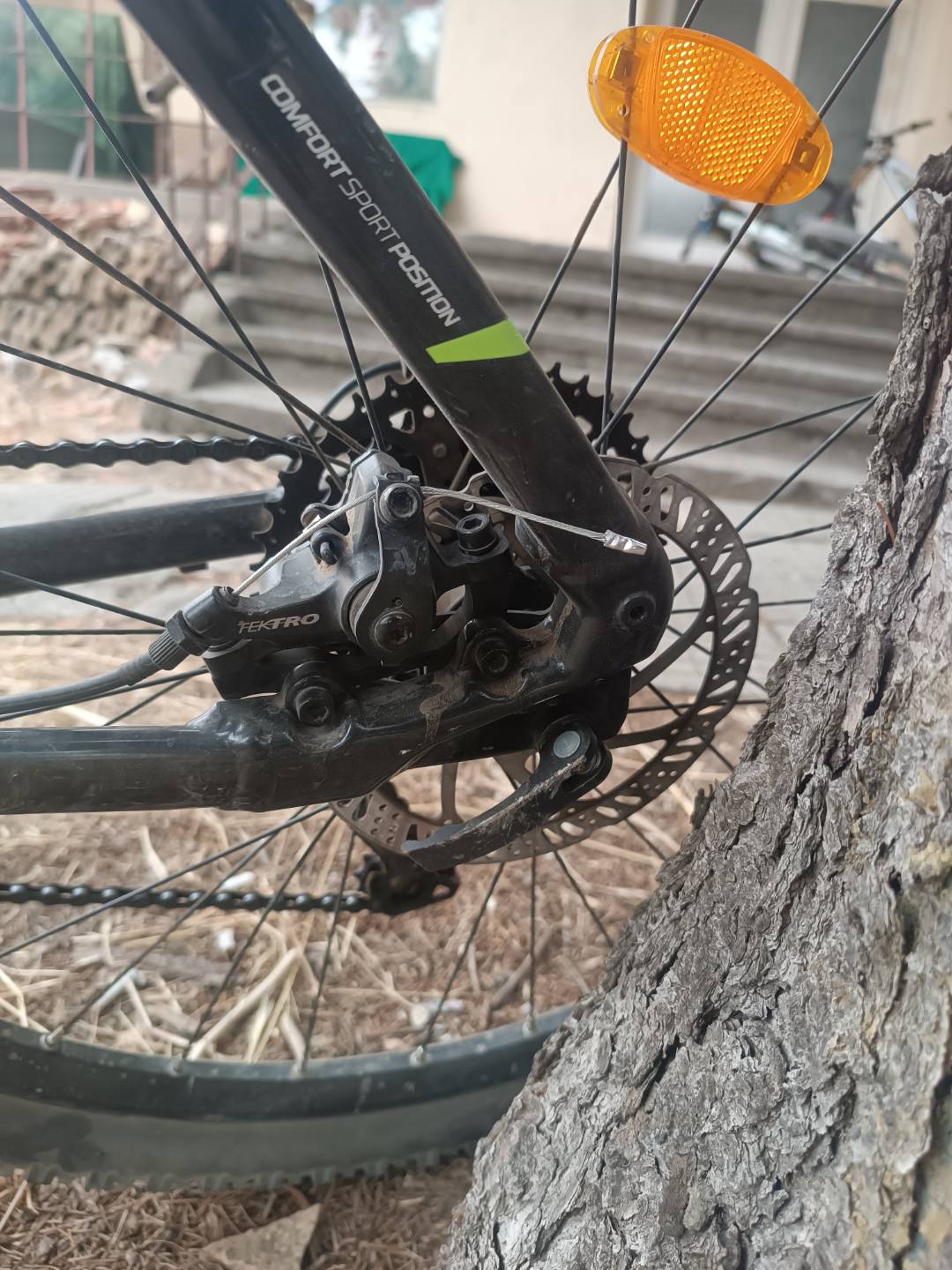 Bike view 7
