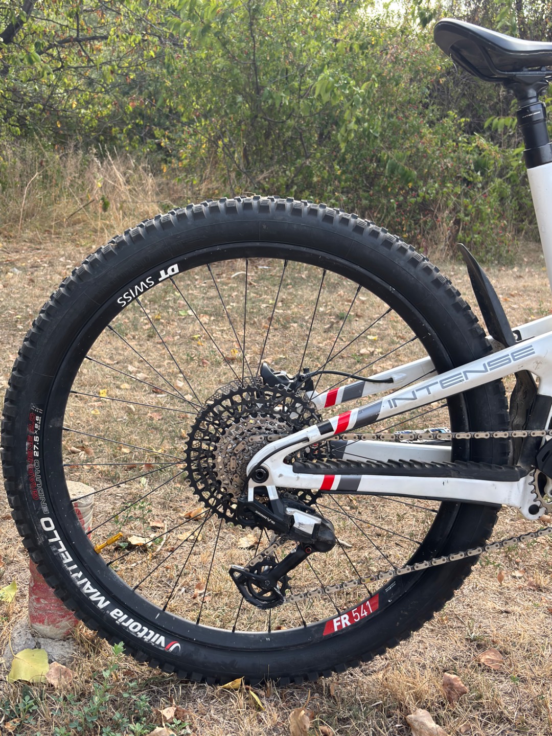 Bike view 8