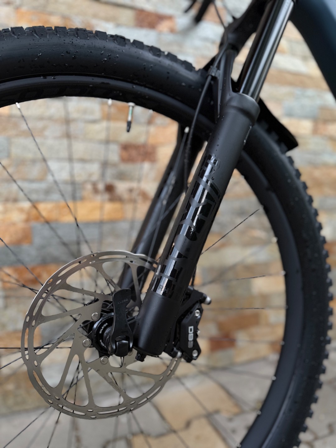 Bike view 11