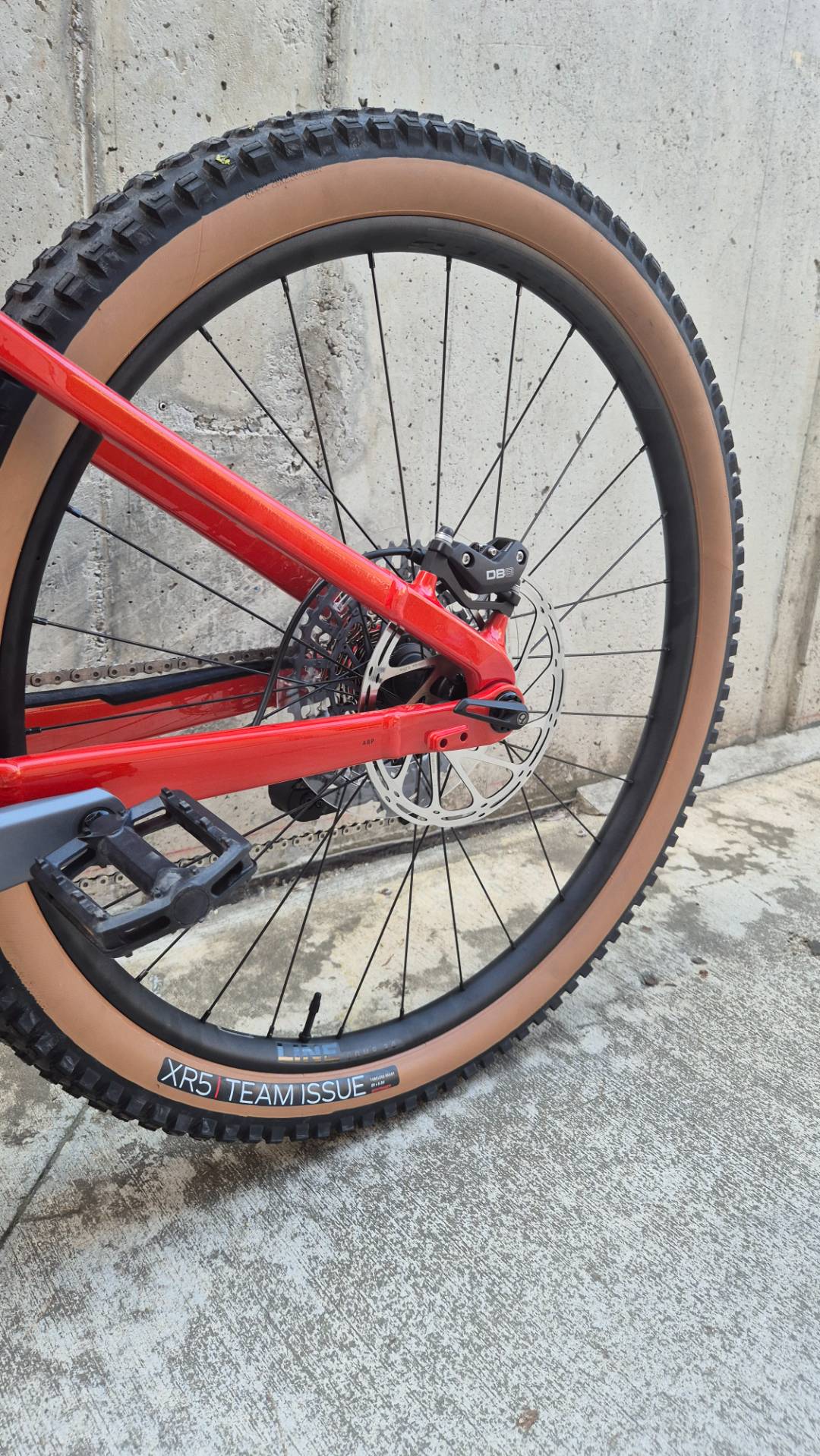 Bike view 8