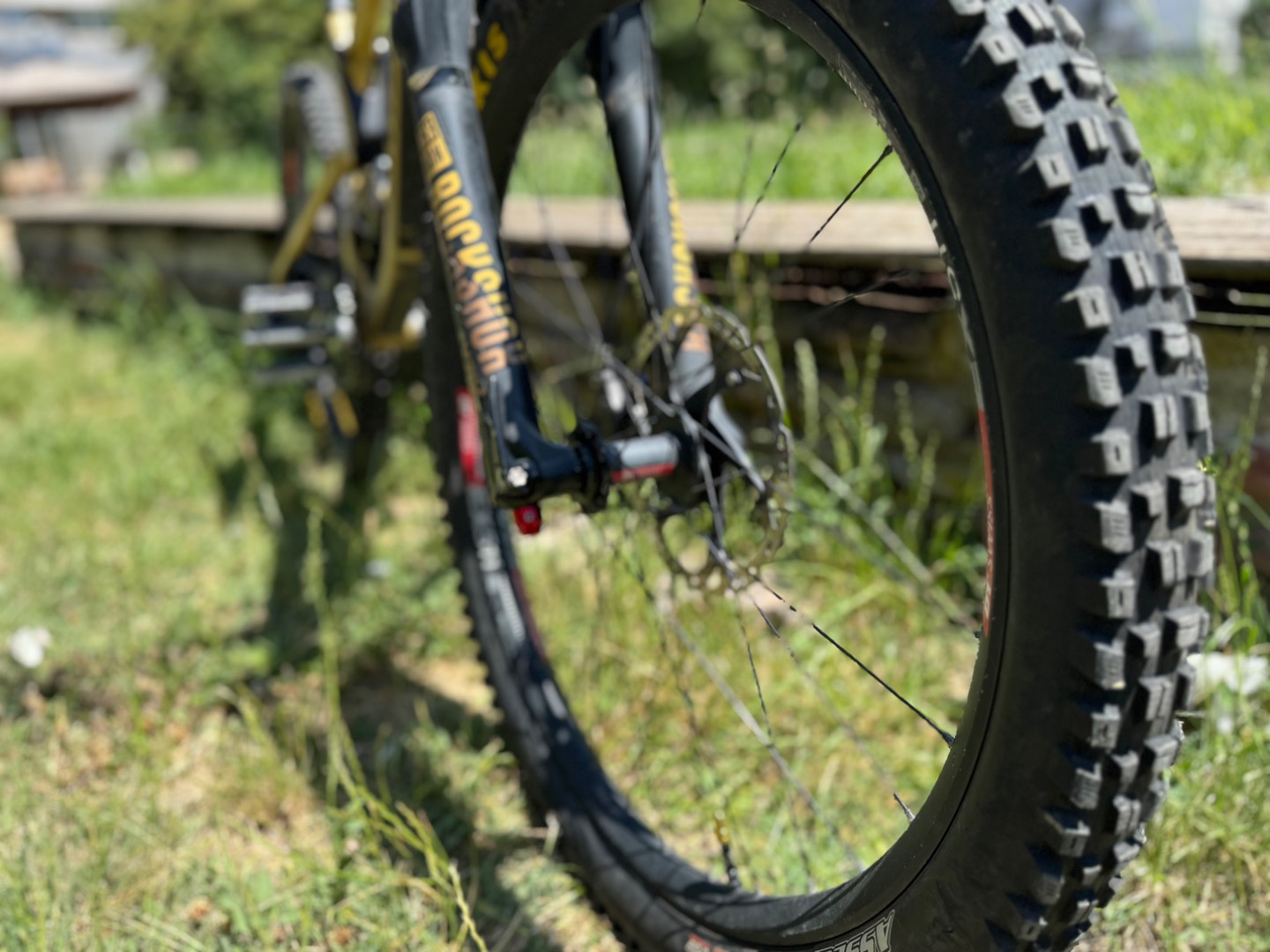 Bike view 9