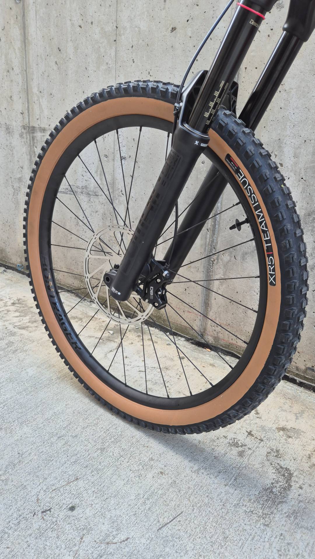 Bike view 9