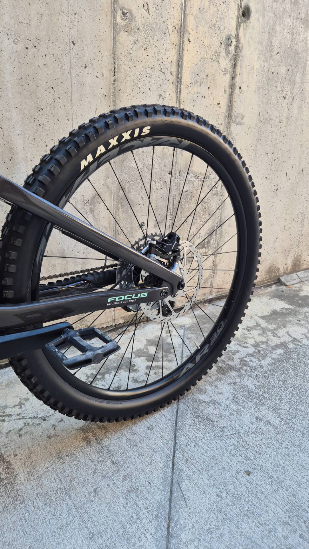 Bike view 10