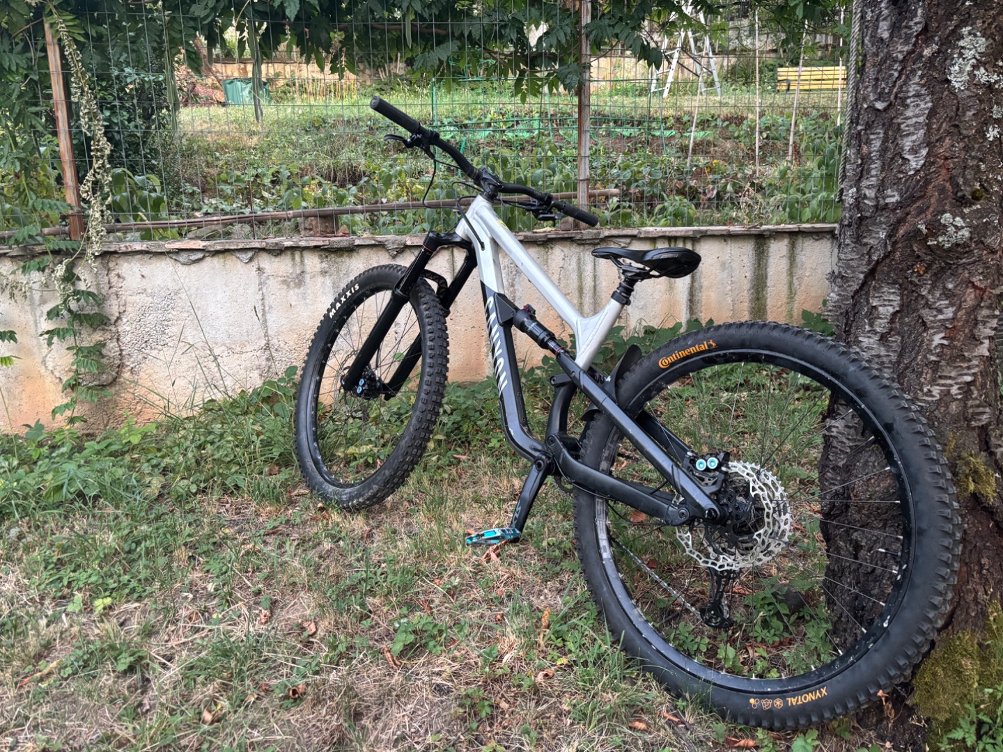 Bike view 2