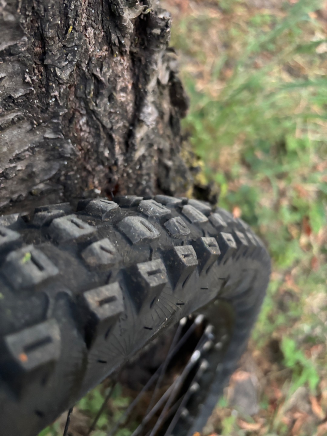 Bike view 8