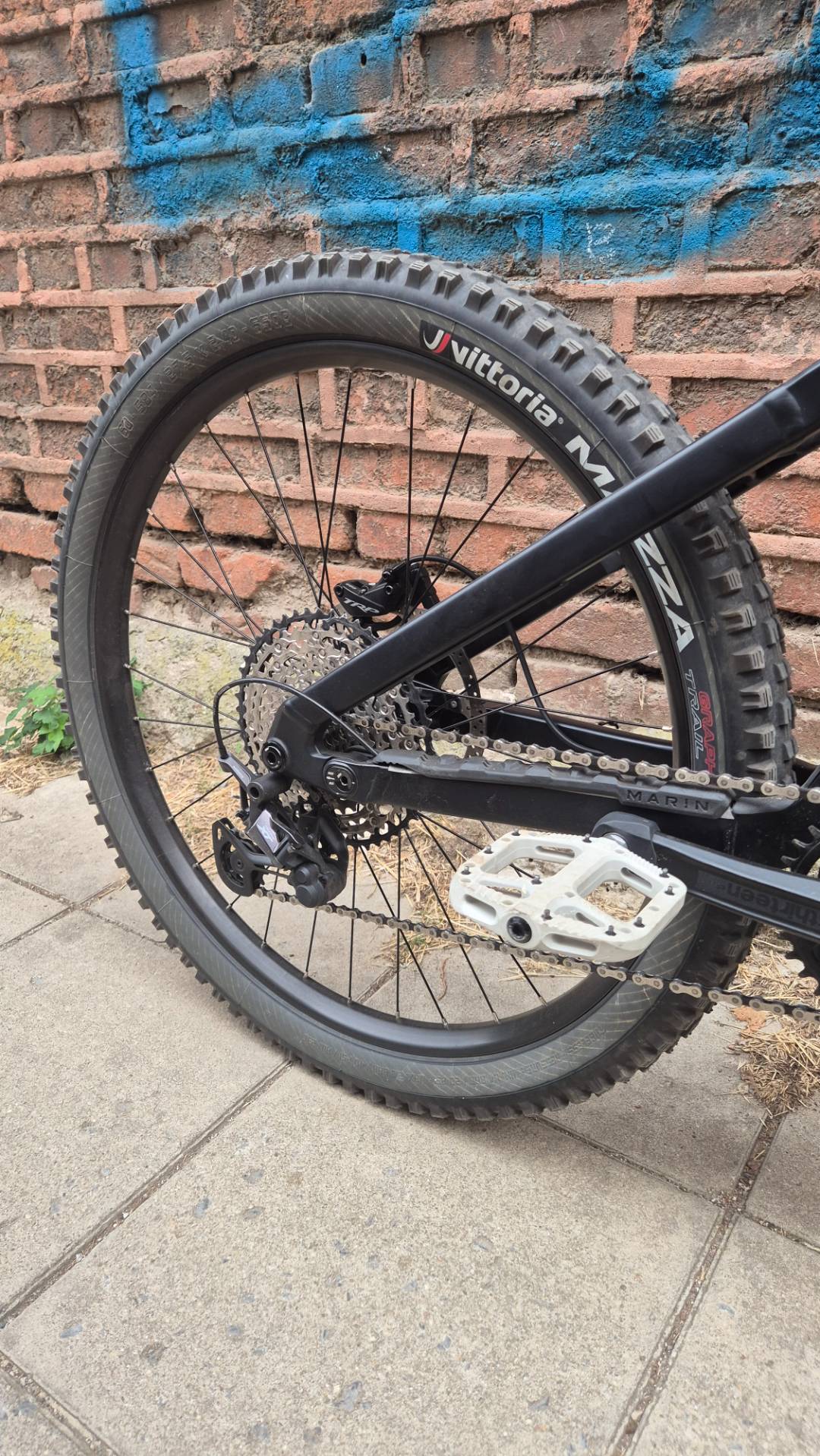 Bike view 7