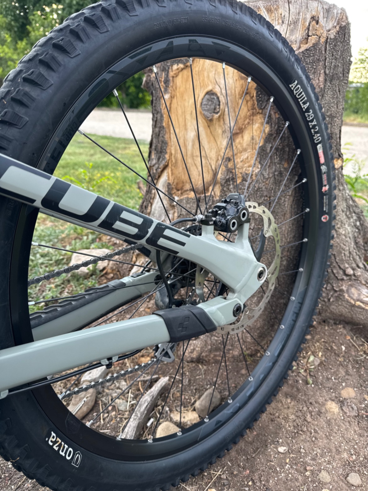 Bike view 7