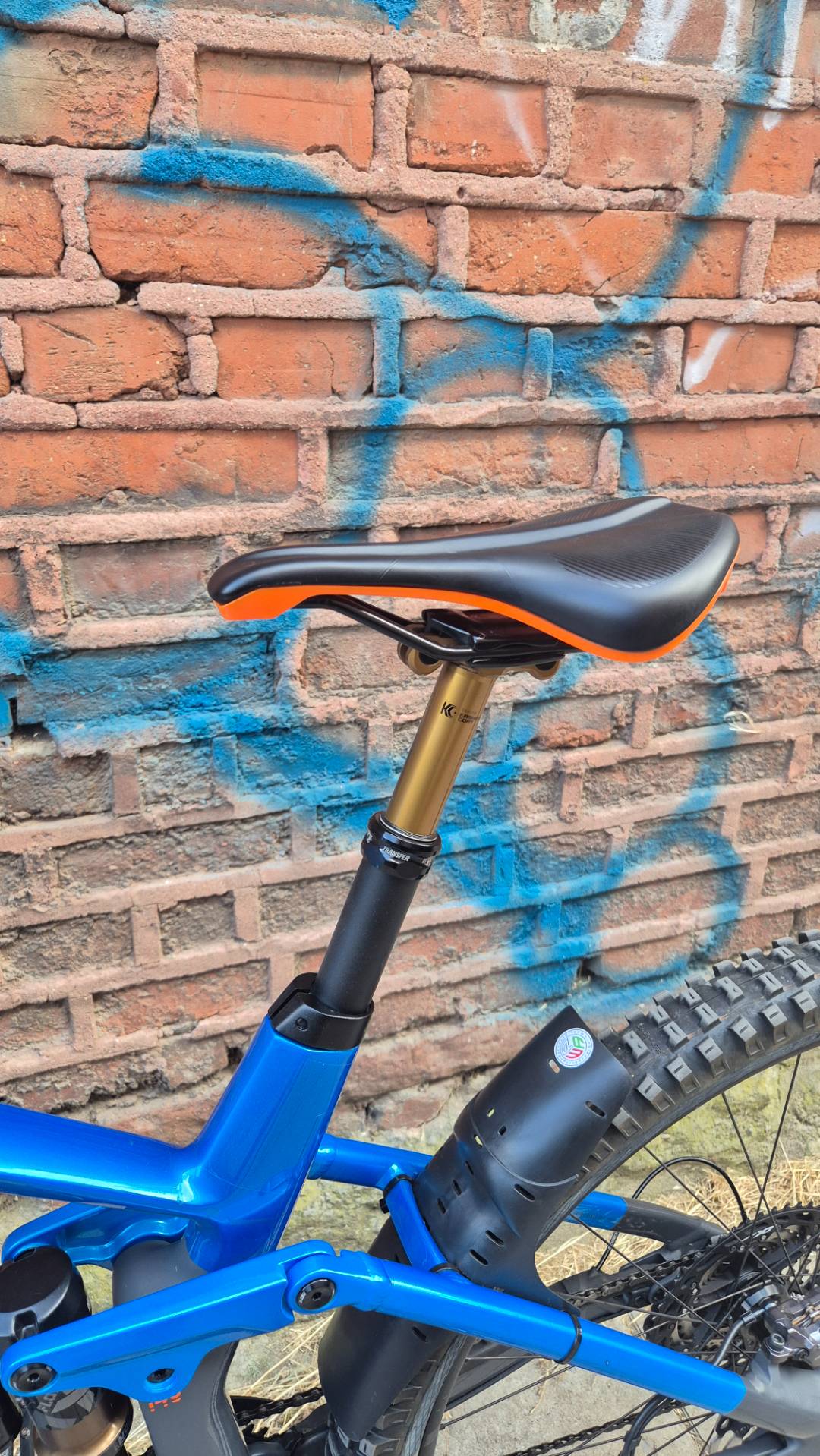Bike view 11