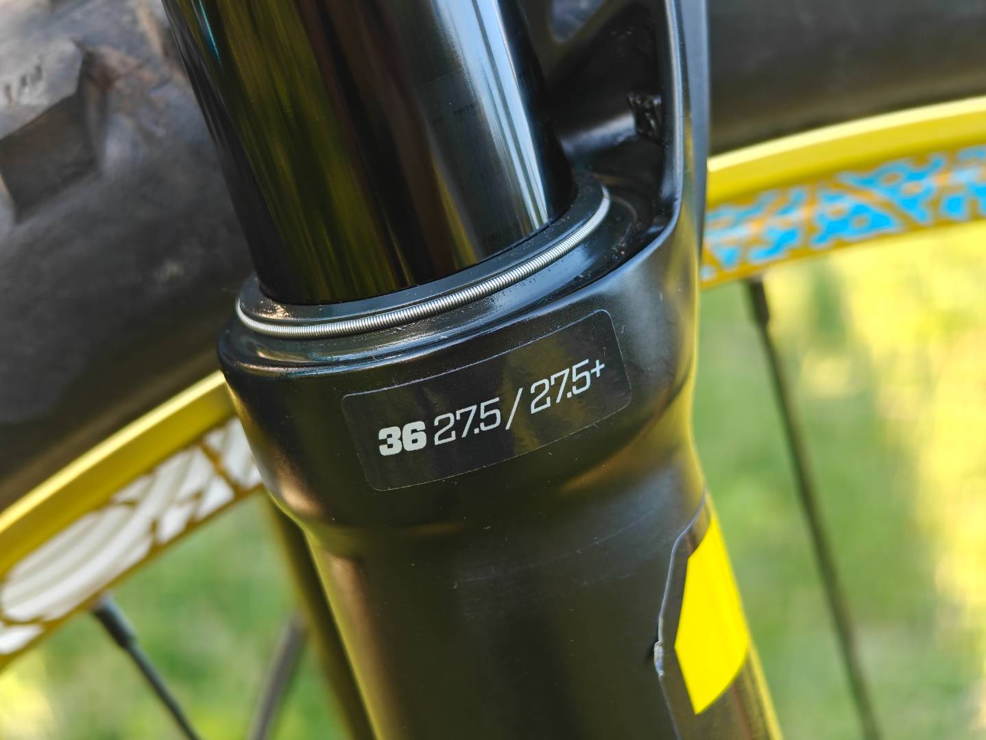 Bike view 11