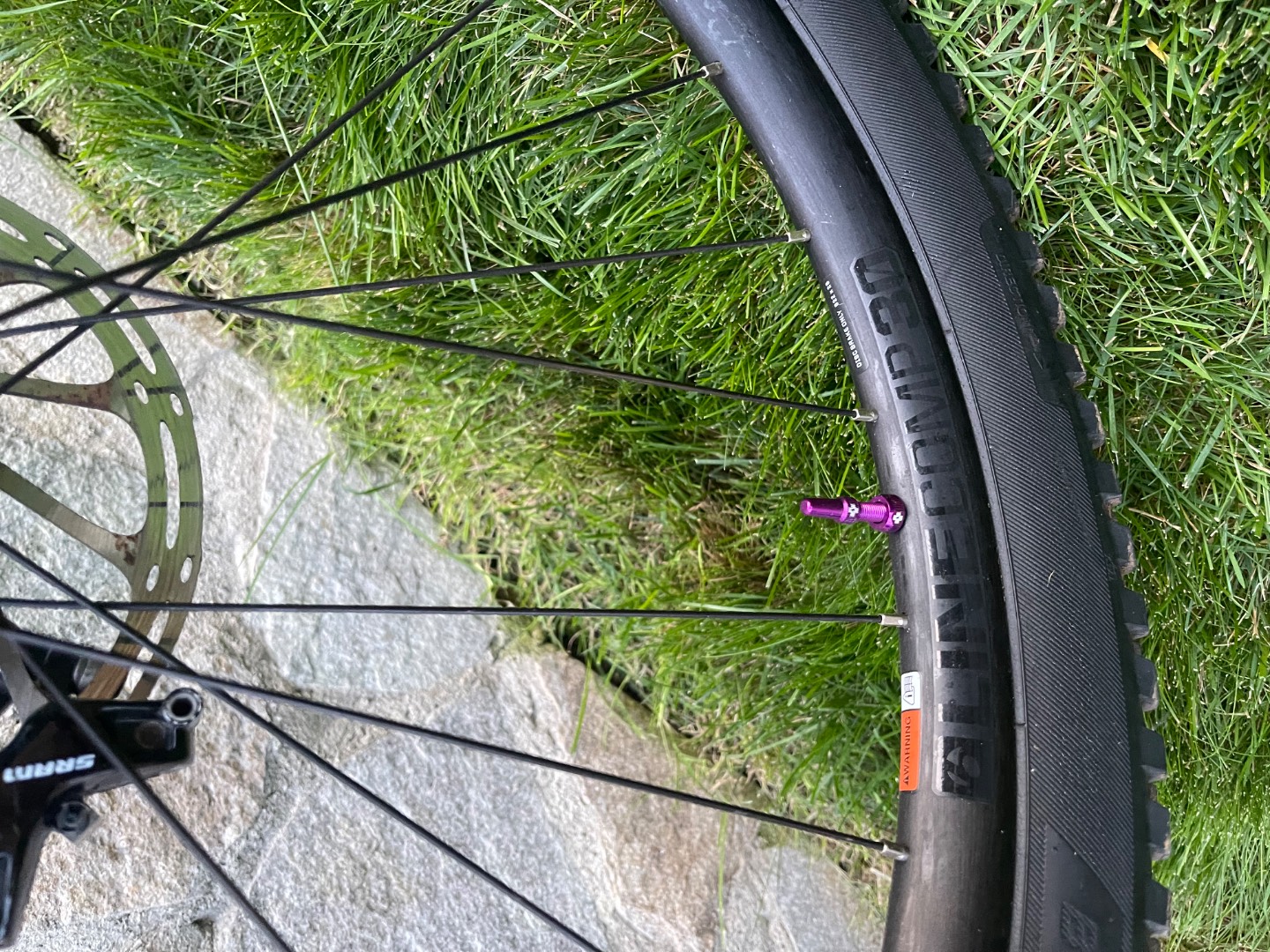 Bike view 11