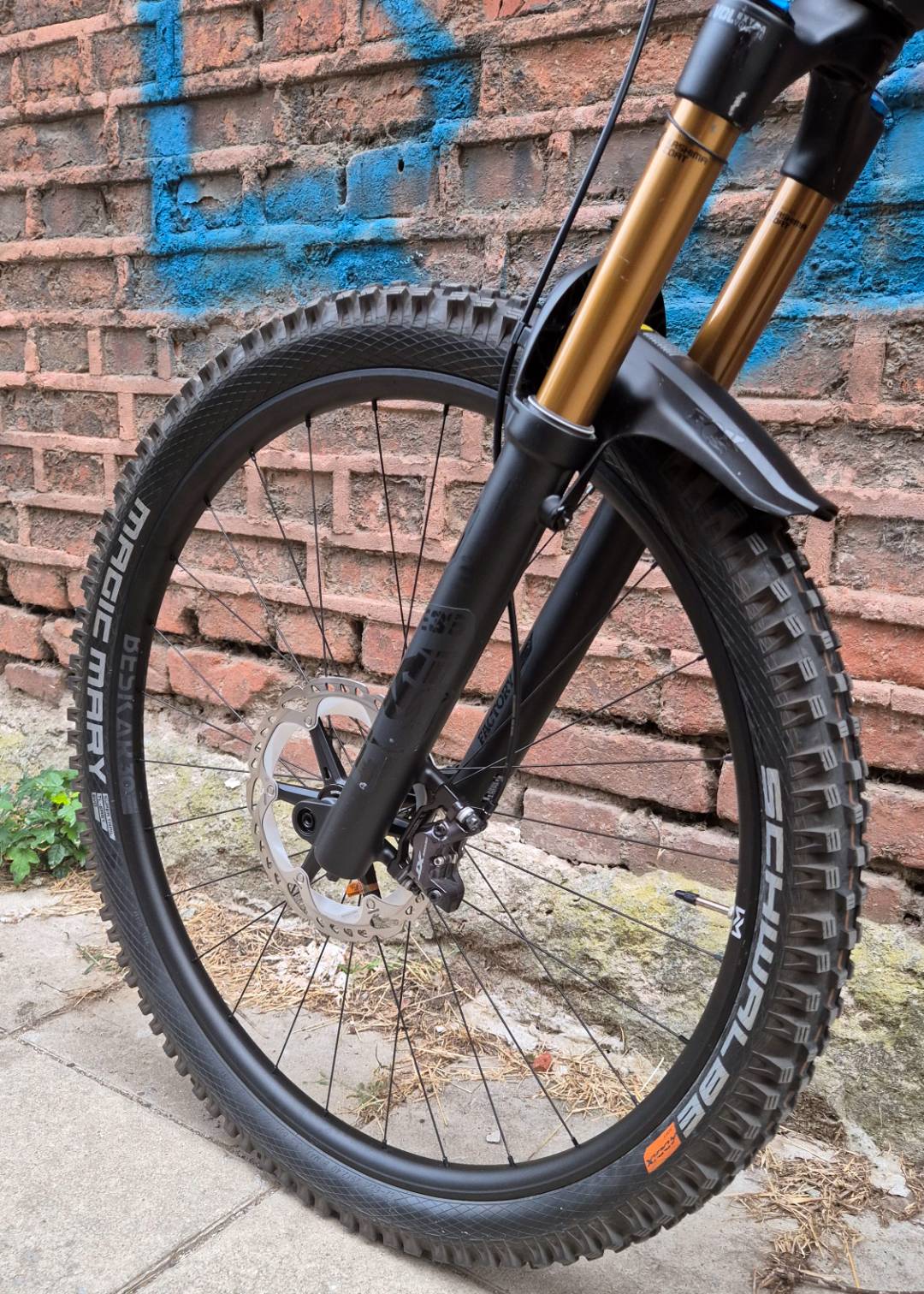 Bike view 10