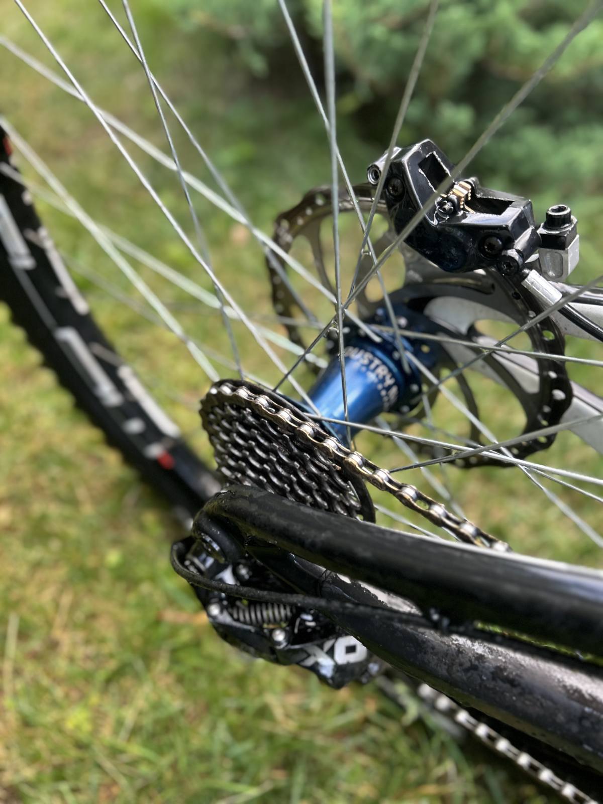Bike view 2