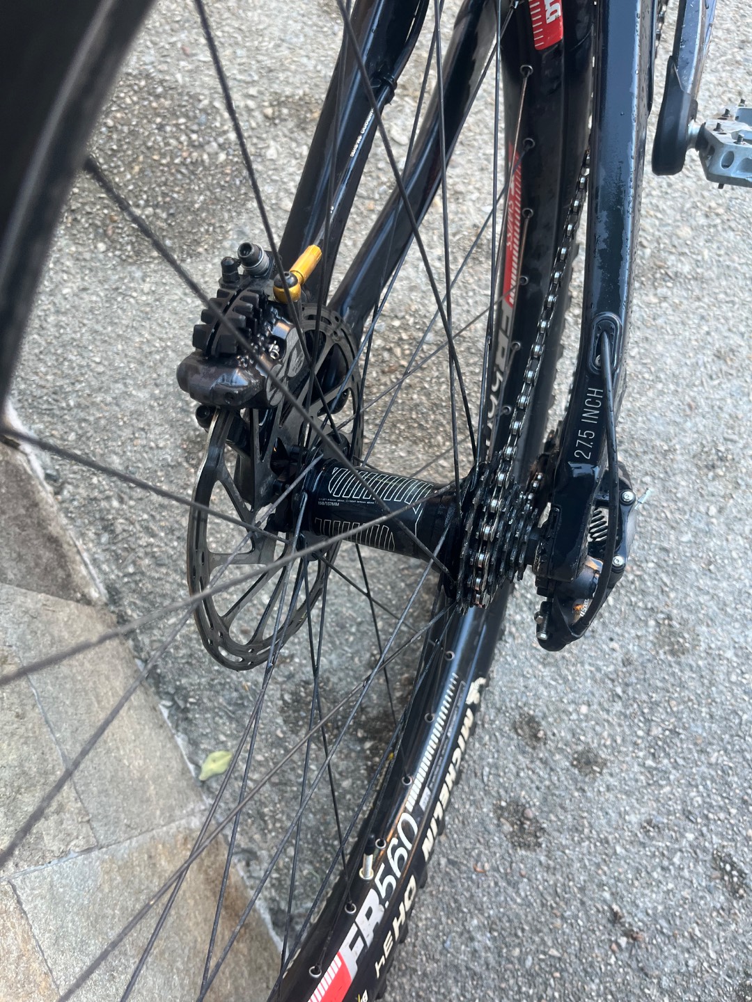 Bike view 11